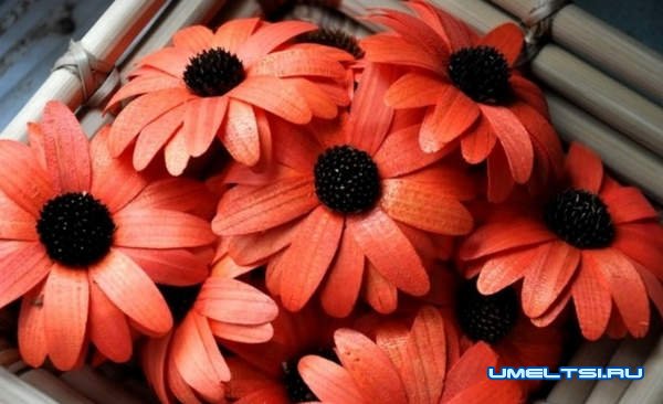 Как сделать розу из дерева