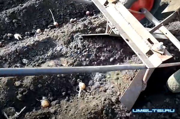 Самодельный плужок-окучник для посадки картофеля Самодельный плужок-окучник для посадки картофеля