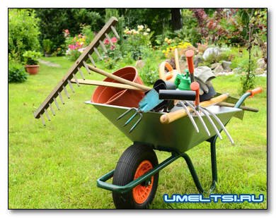 Как подготовить садовый инструмент к зиме