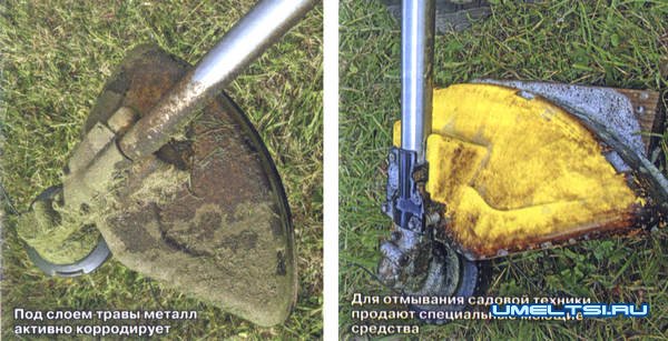 Как подготовить садовый инструмент