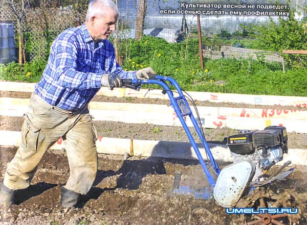 Как подготовить садовый инструмент