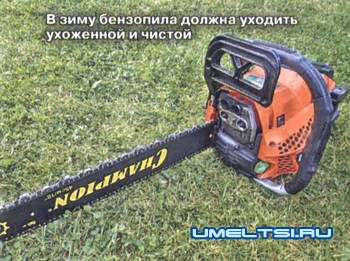 Как подготовить садовый инструмент