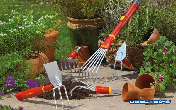 Как подготовить садовый инструмент к зиме