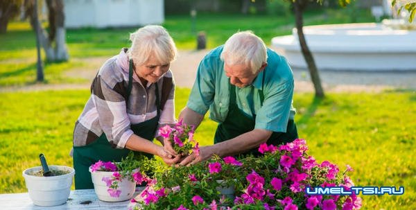 Хобби для пенсионеров Хобби для пенсионеров