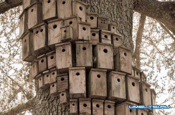 Примеры оригинальных скворечников