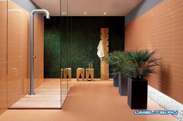 Дизайны интерьеров