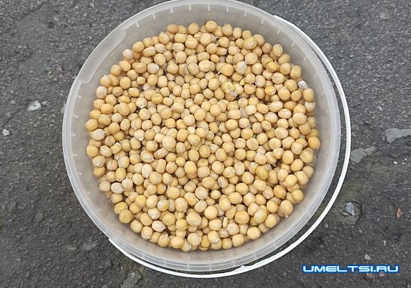 Универсальной прикормка, лучше покупной