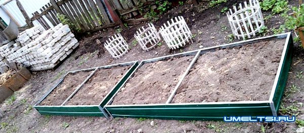 Грядки с металлическим ограждением