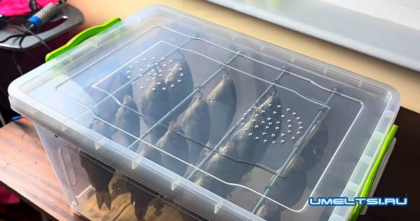 Сушилка для рыбы и мяса