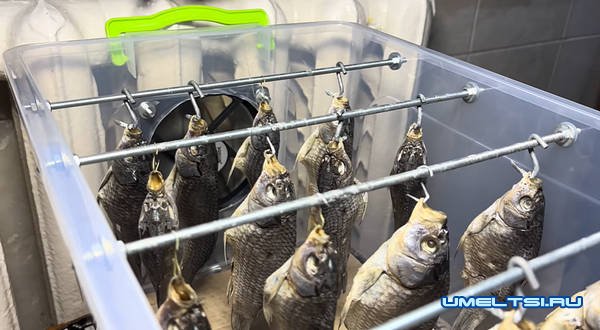 Сушилка для рыбы